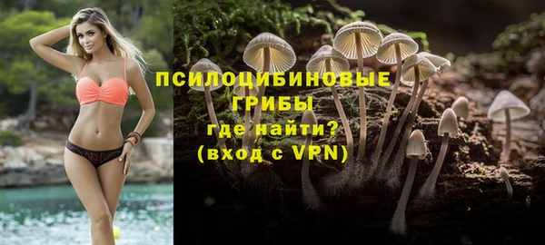 кокс Алзамай