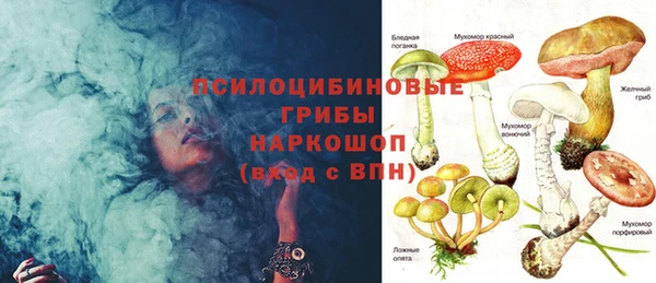 эйфоретик Алексеевка