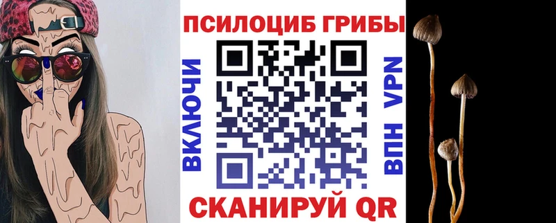 Галлюциногенные грибы мицелий blacksprut ССЫЛКА Наволоки